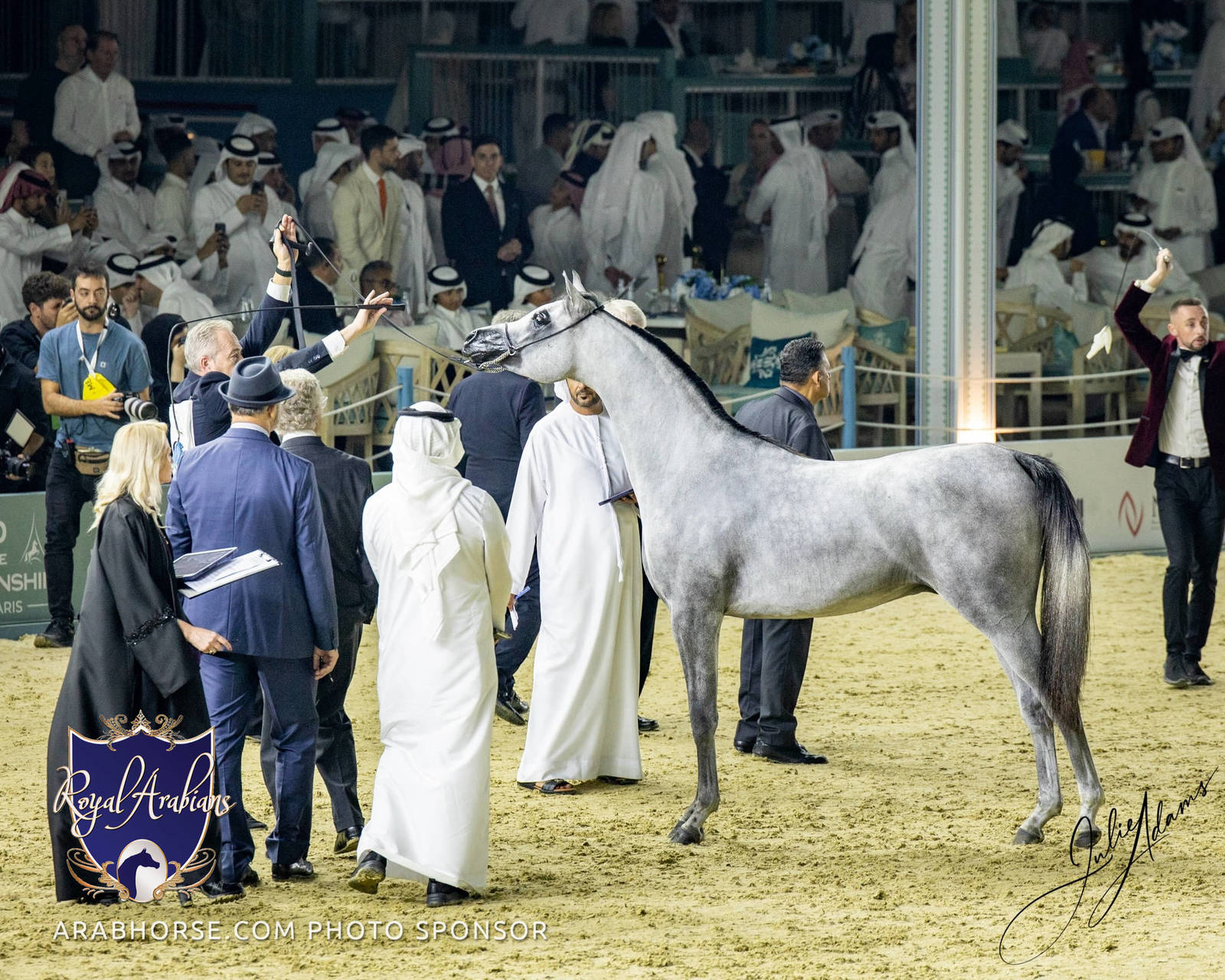 WORLD ARABIAN HORSE CHAMPIONSHIP FINAL DAY