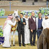 WORLD ARABIAN HORSE CHAMPIONSHIP FINAL DAY