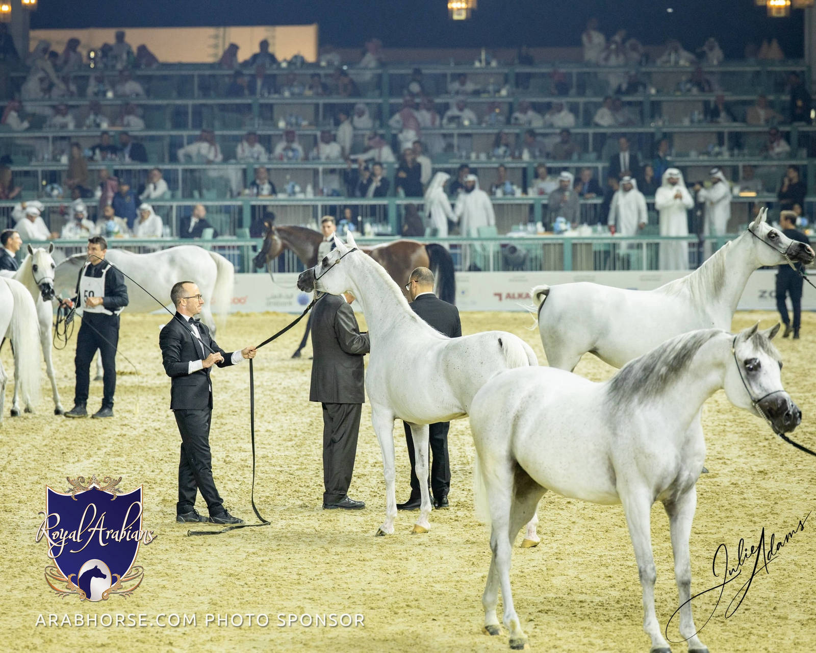 WORLD ARABIAN HORSE CHAMPIONSHIP FINAL DAY