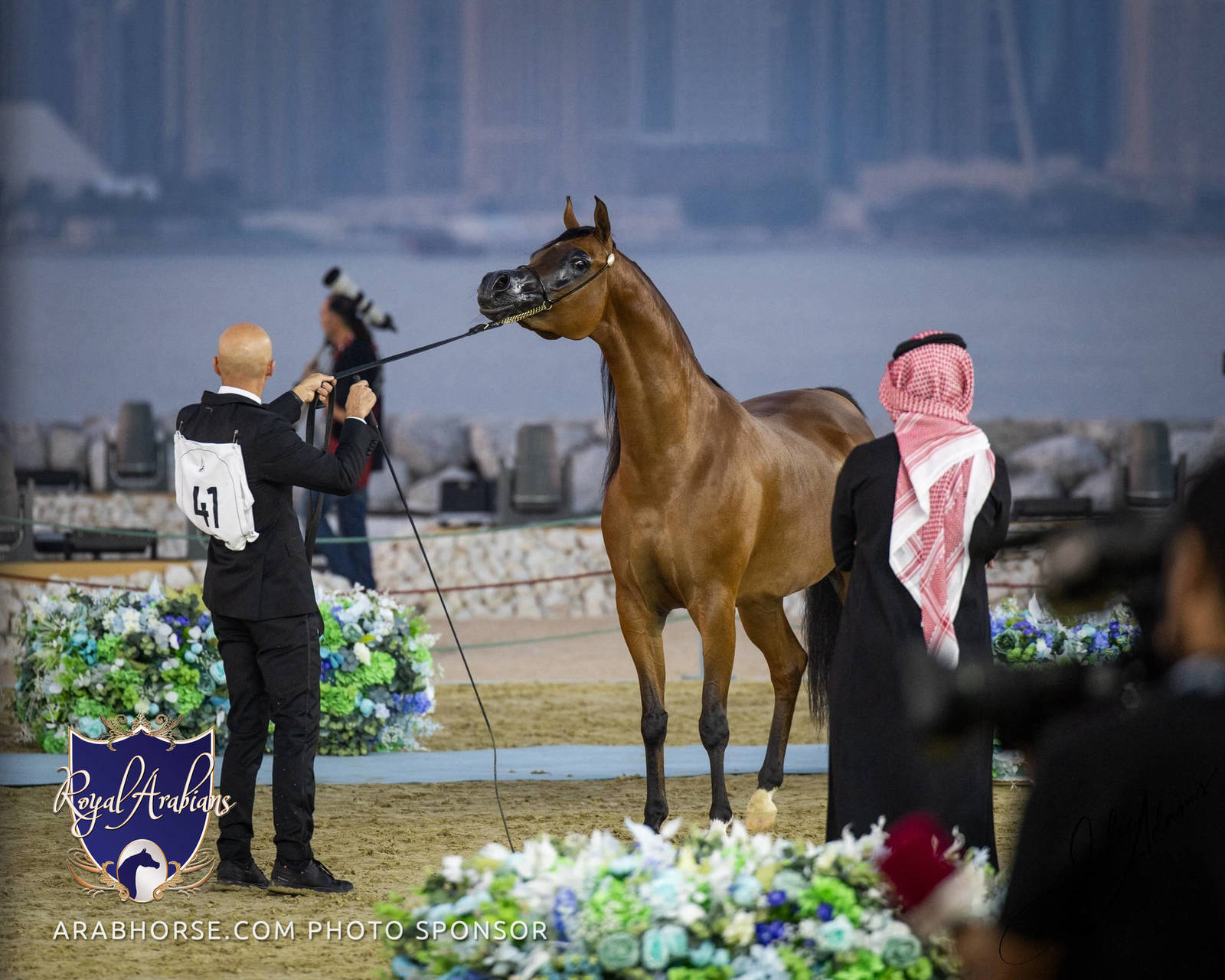 WORLD ARABIAN HORSE CHAMPIONSHIP FINAL DAY
