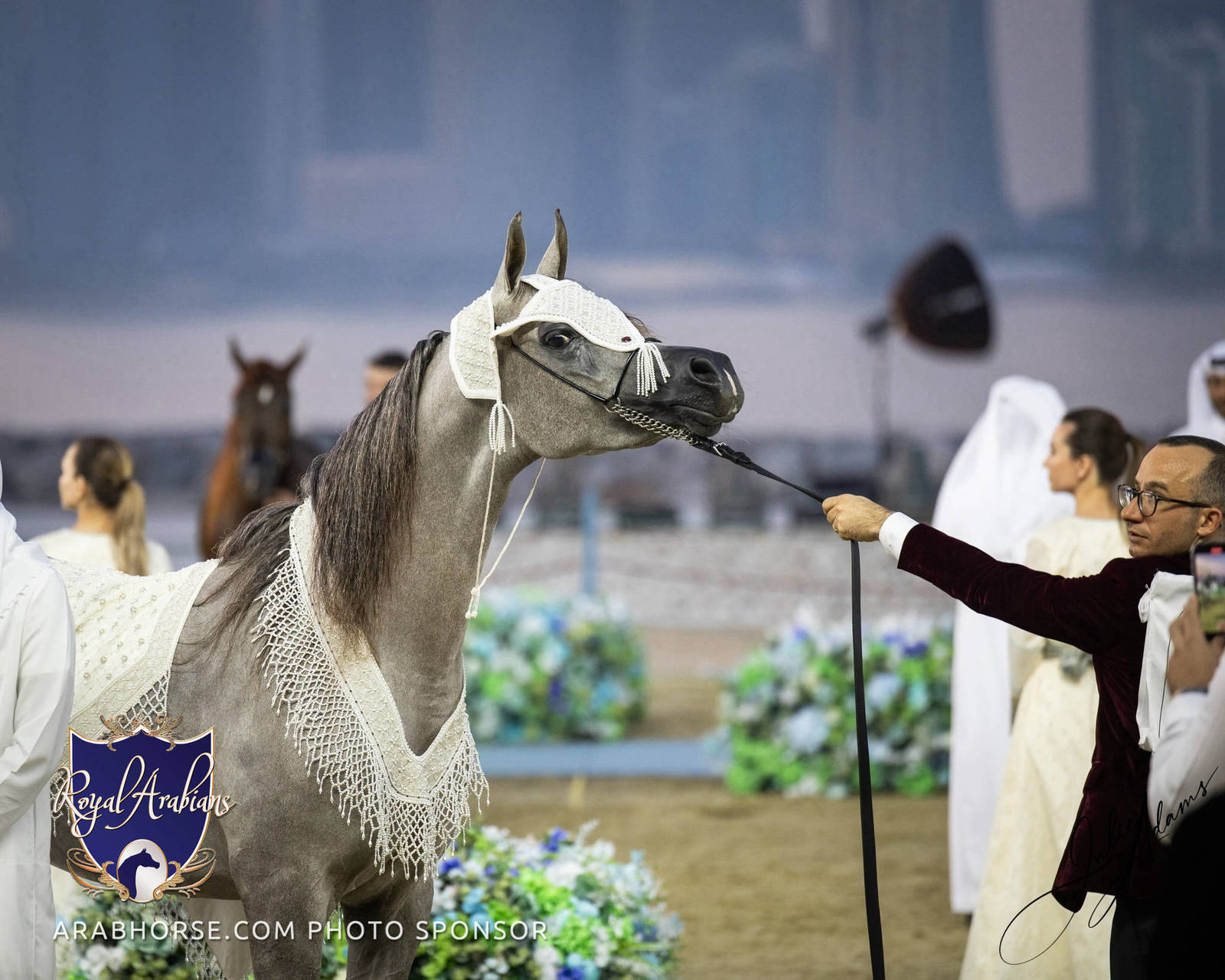 WORLD ARABIAN HORSE CHAMPIONSHIP FINAL DAY