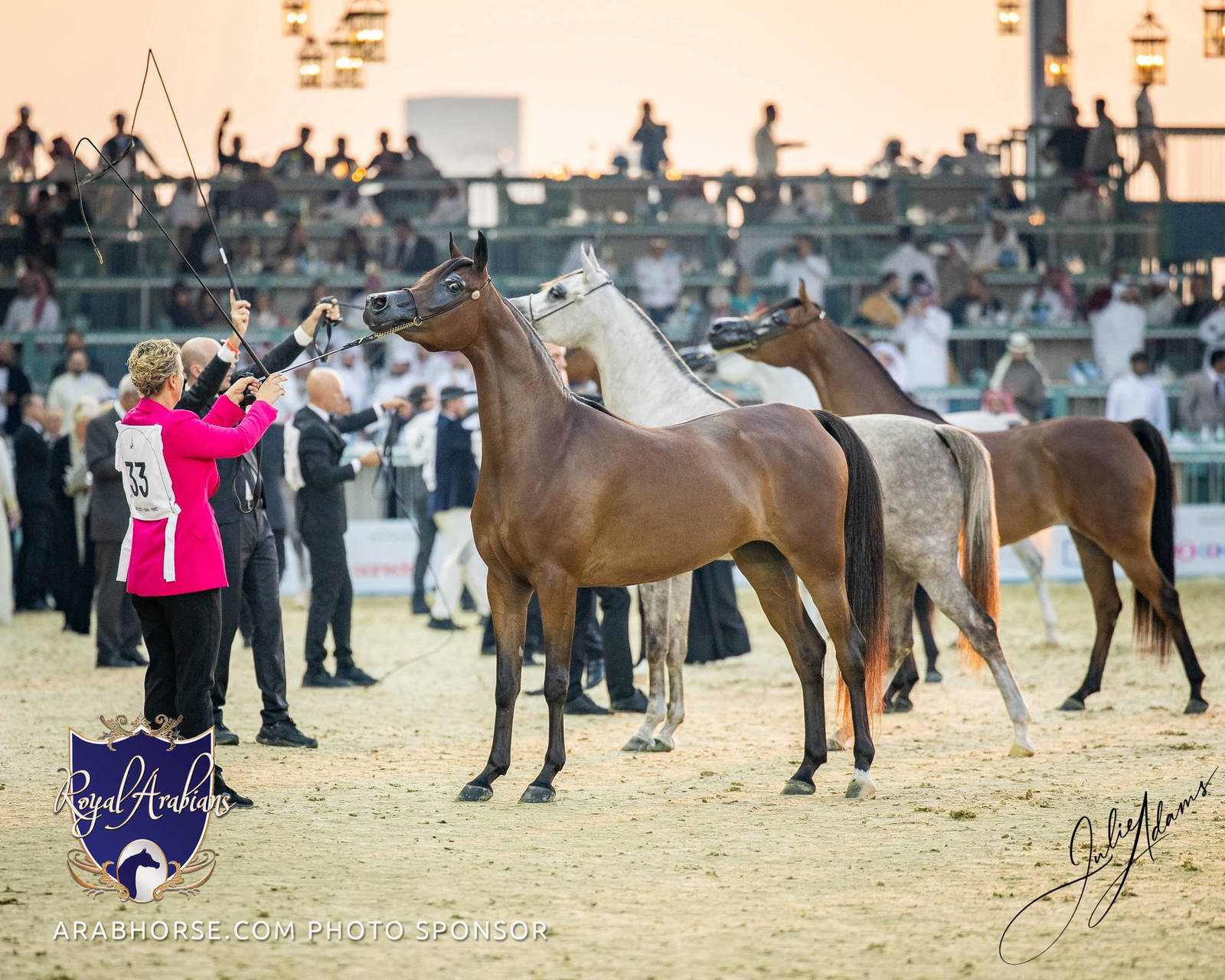 WORLD ARABIAN HORSE CHAMPIONSHIP FINAL DAY
