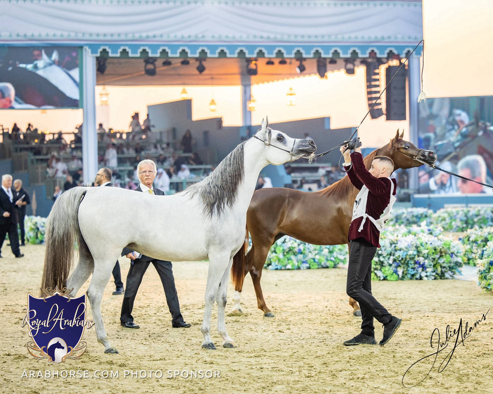 WORLD ARABIAN HORSE CHAMPIONSHIP FINAL DAY