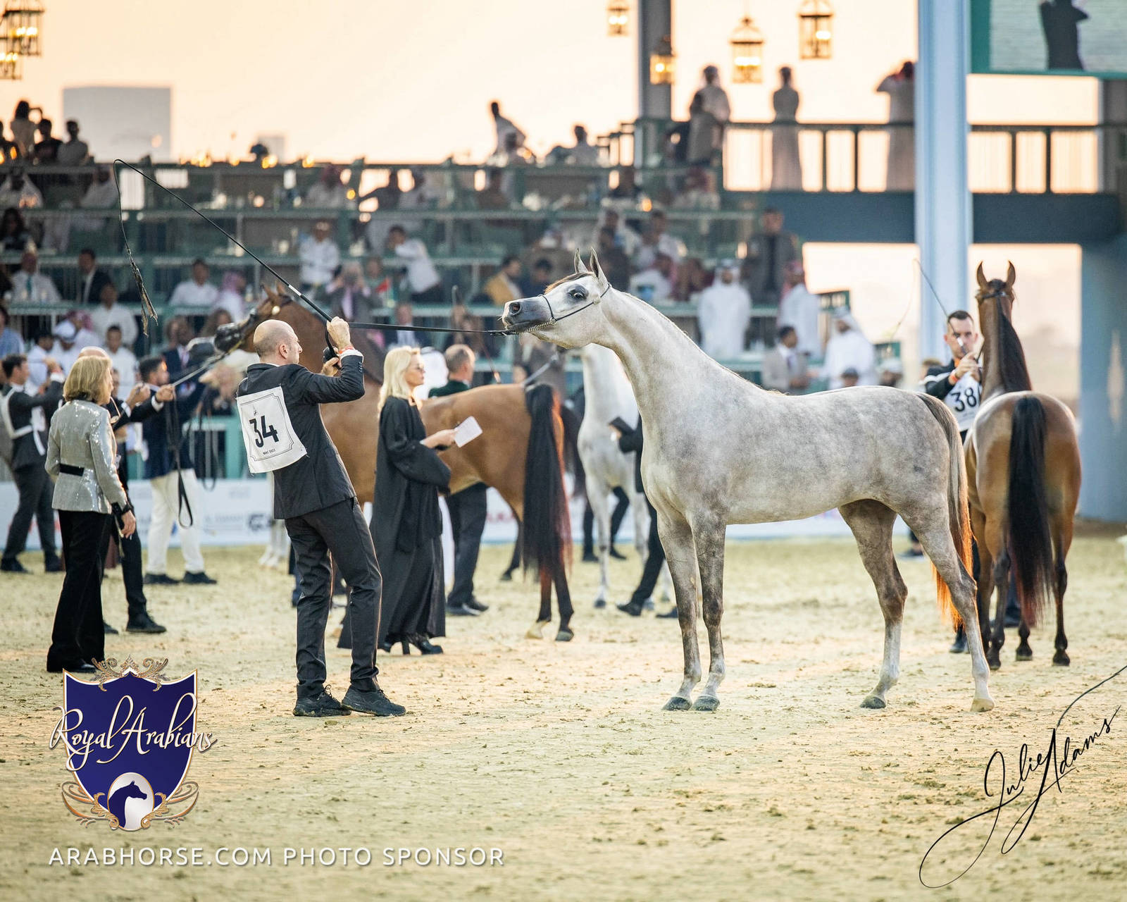 WORLD ARABIAN HORSE CHAMPIONSHIP FINAL DAY