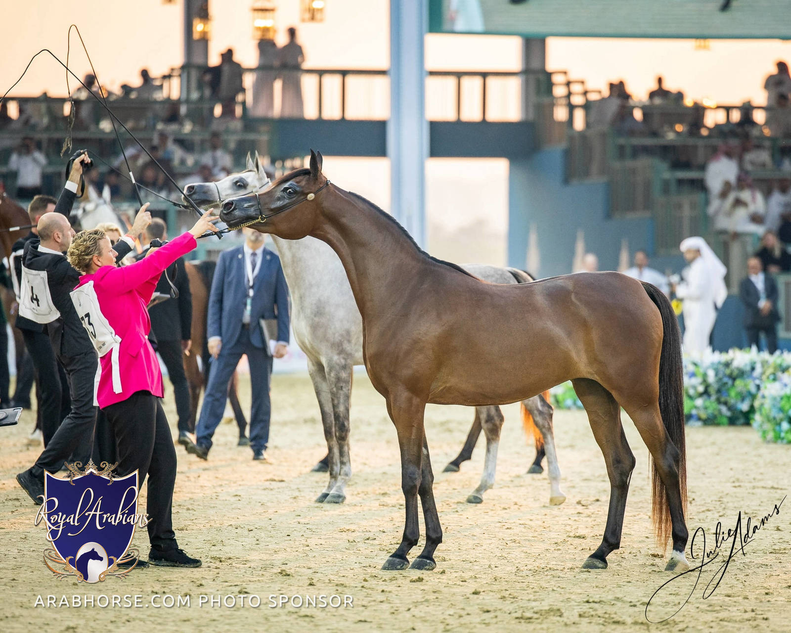 WORLD ARABIAN HORSE CHAMPIONSHIP FINAL DAY