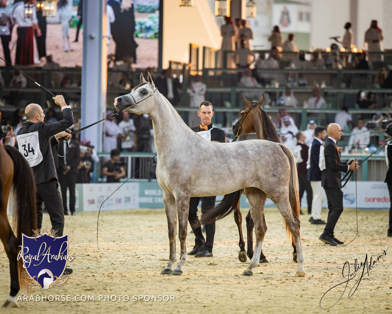 WORLD ARABIAN HORSE CHAMPIONSHIP FINAL DAY