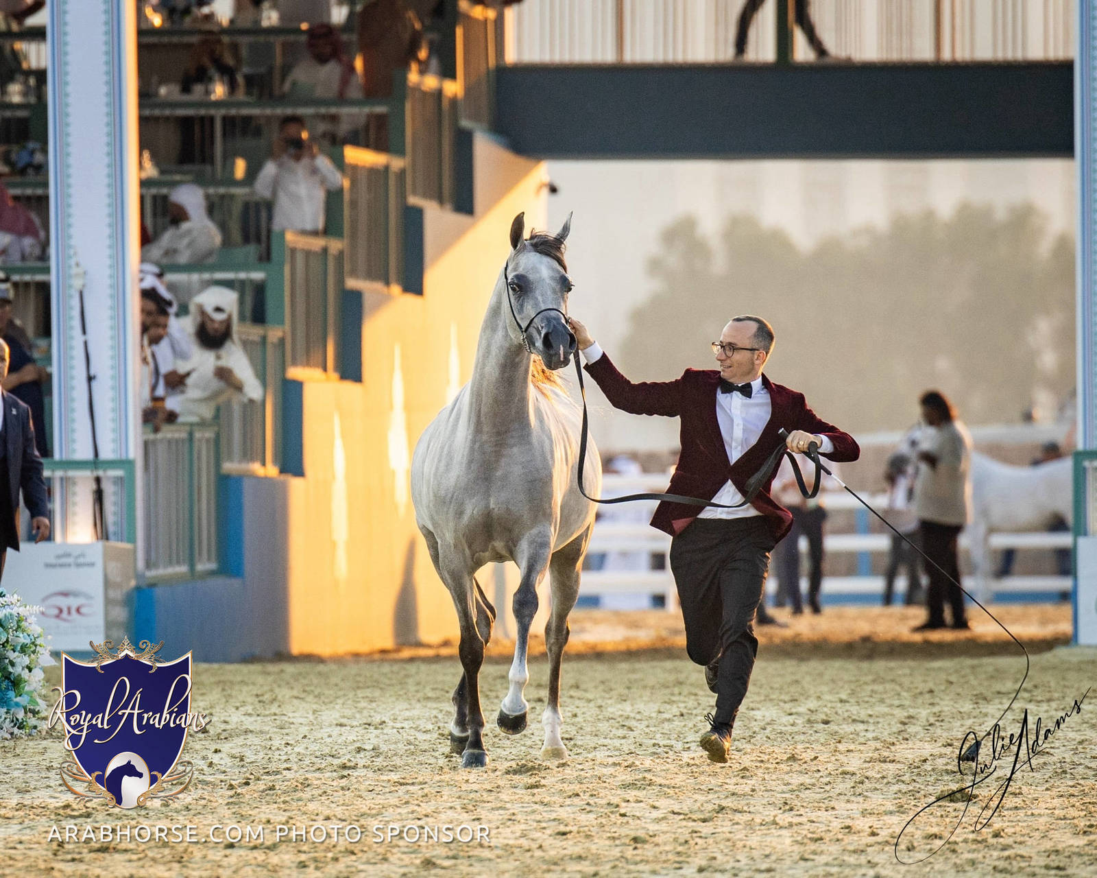 WORLD ARABIAN HORSE CHAMPIONSHIP FINAL DAY