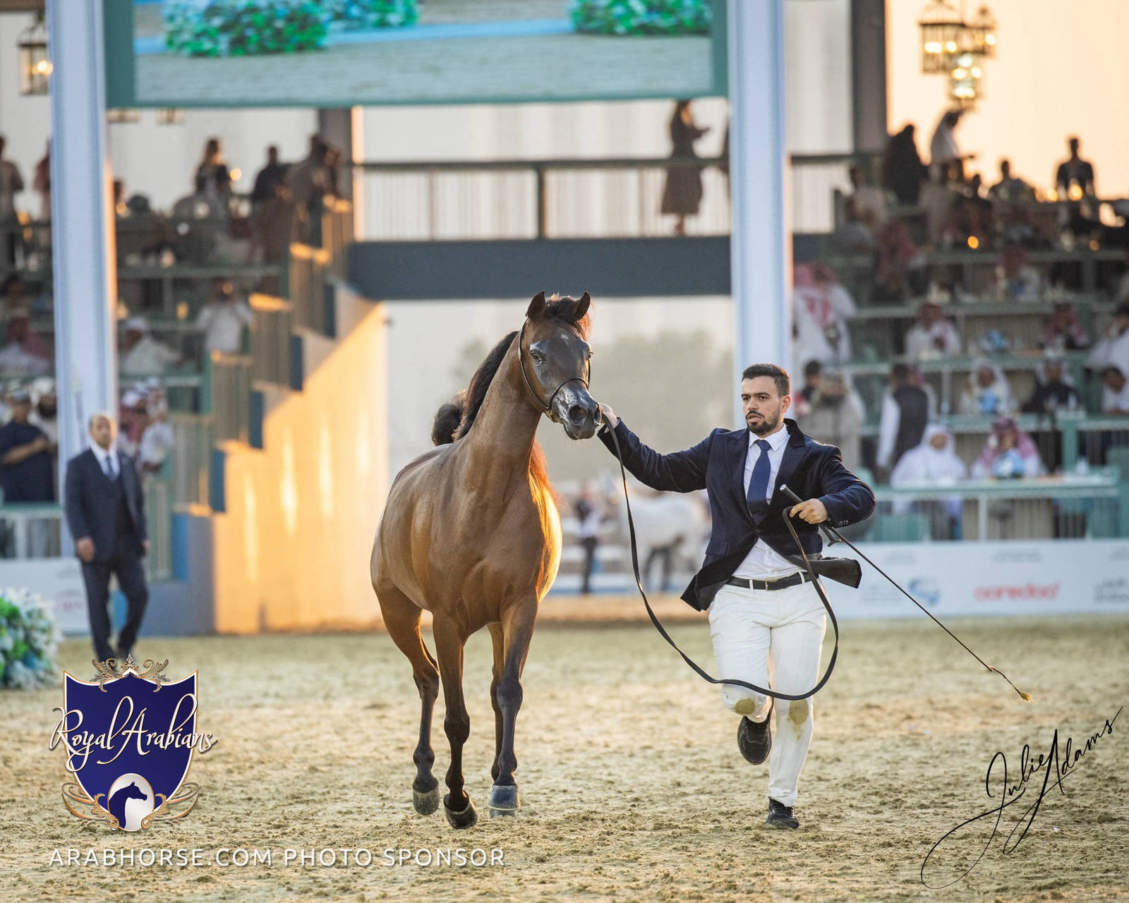 WORLD ARABIAN HORSE CHAMPIONSHIP FINAL DAY