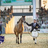 WORLD ARABIAN HORSE CHAMPIONSHIP FINAL DAY