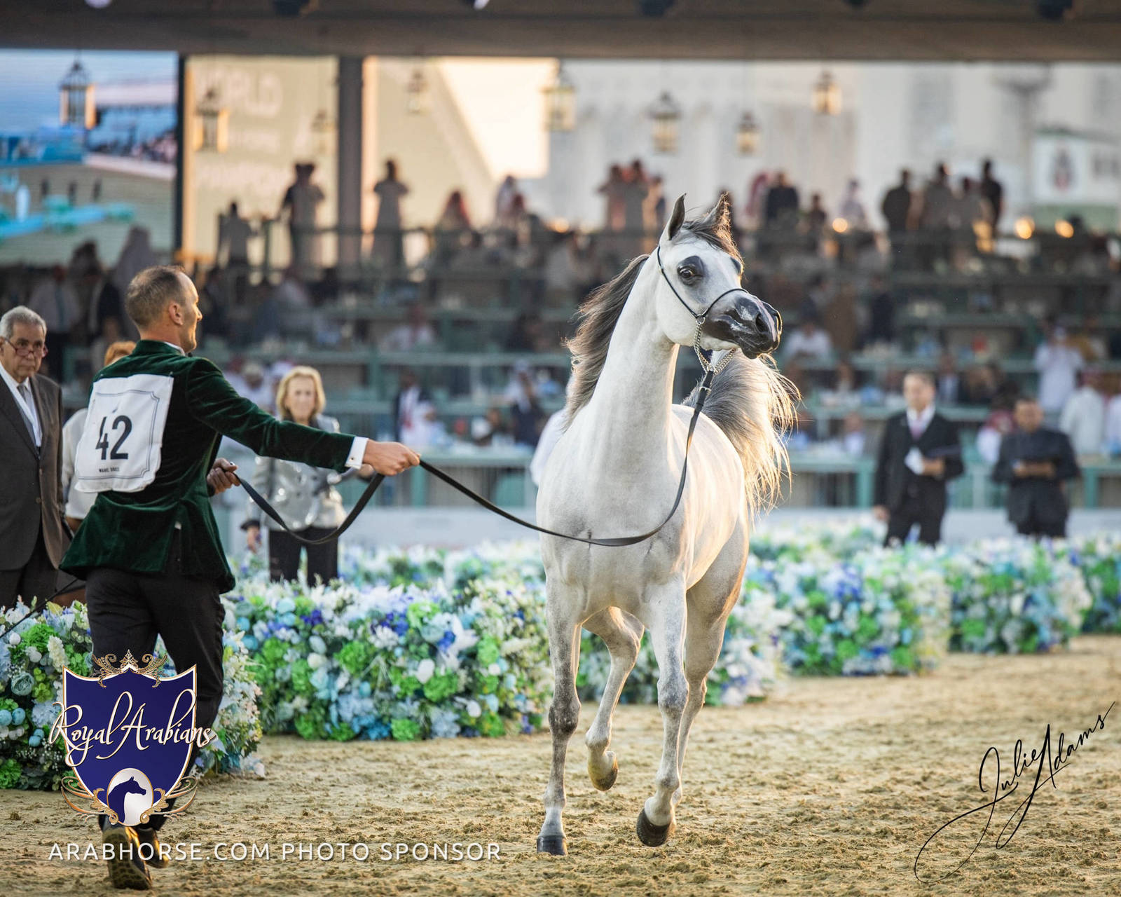 WORLD ARABIAN HORSE CHAMPIONSHIP FINAL DAY
