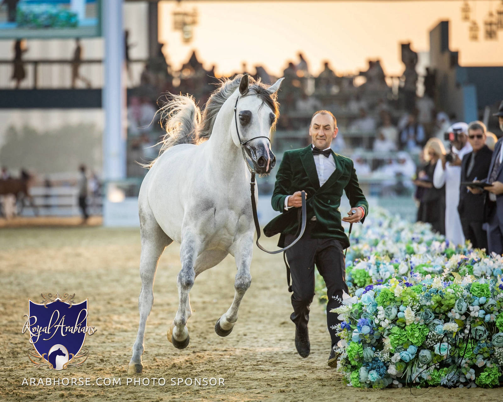 WORLD ARABIAN HORSE CHAMPIONSHIP FINAL DAY