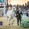 WORLD ARABIAN HORSE CHAMPIONSHIP FINAL DAY