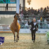 WORLD ARABIAN HORSE CHAMPIONSHIP FINAL DAY