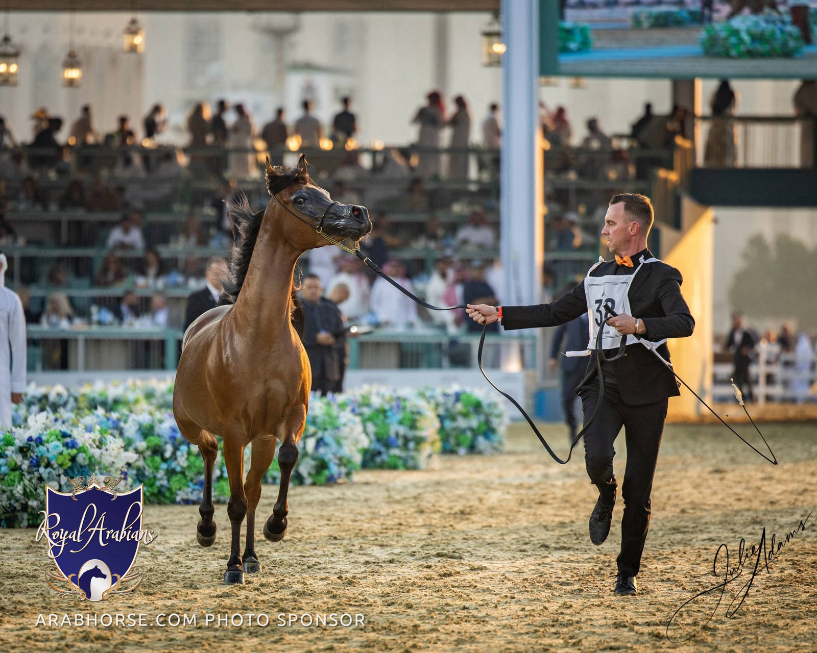 WORLD ARABIAN HORSE CHAMPIONSHIP FINAL DAY