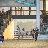 WORLD ARABIAN HORSE CHAMPIONSHIP FINAL DAY