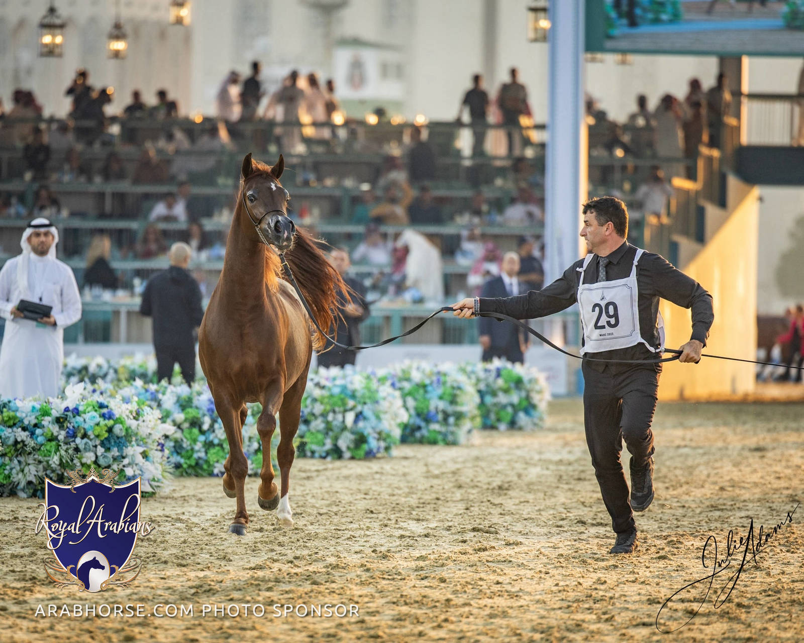 WORLD ARABIAN HORSE CHAMPIONSHIP FINAL DAY
