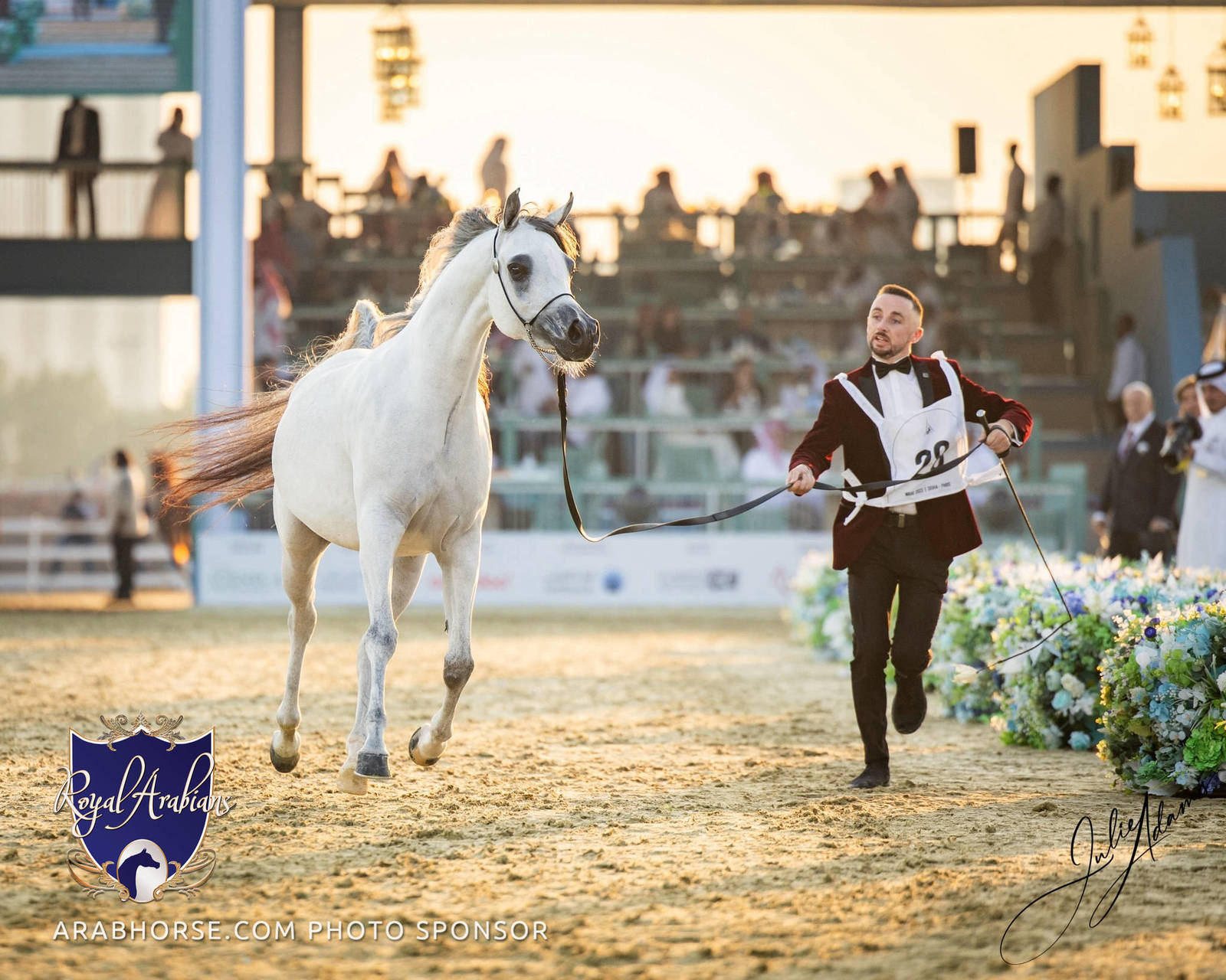 WORLD ARABIAN HORSE CHAMPIONSHIP FINAL DAY