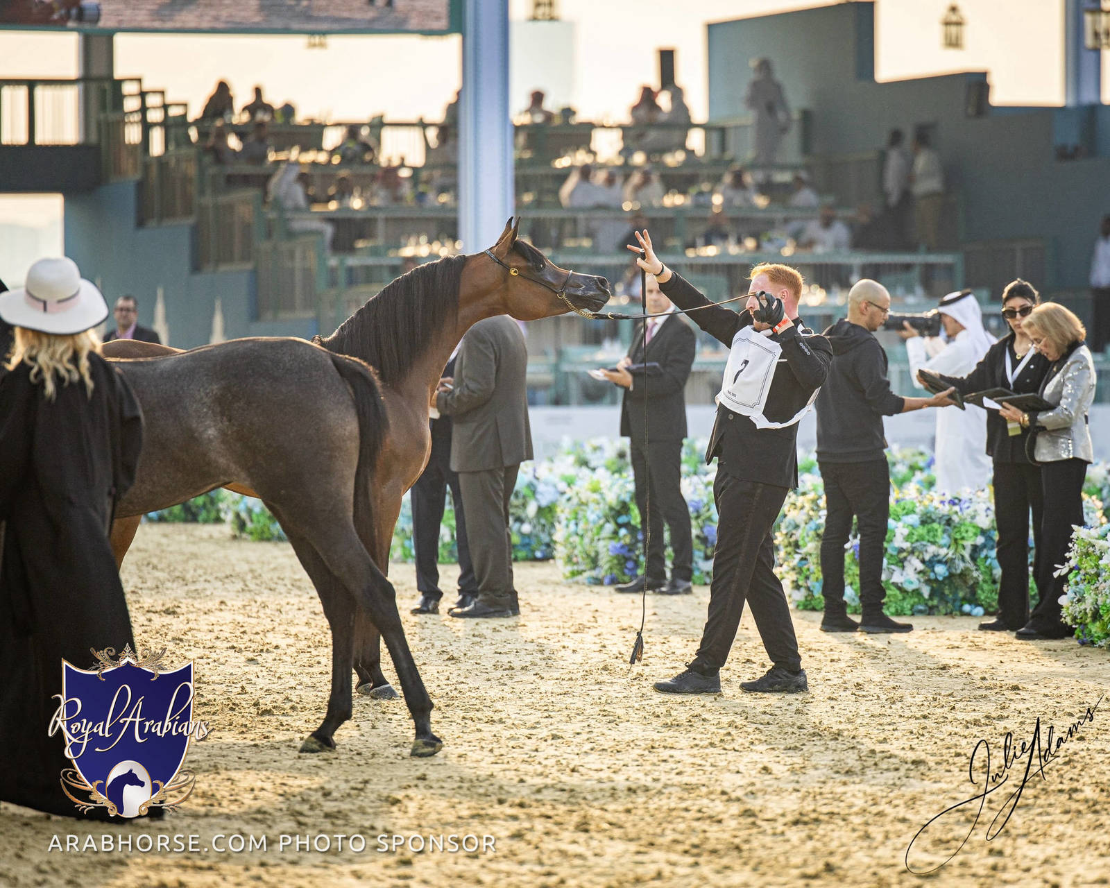 WORLD ARABIAN HORSE CHAMPIONSHIP FINAL DAY