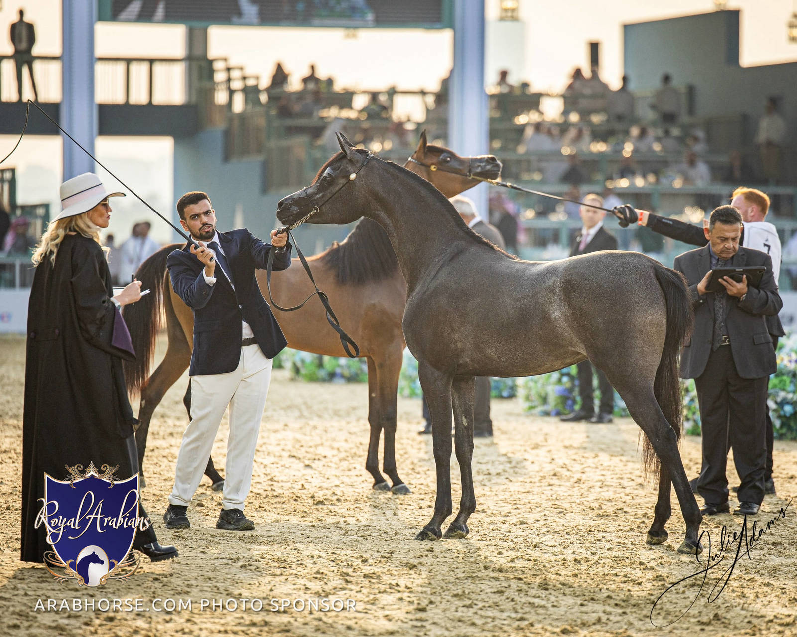 WORLD ARABIAN HORSE CHAMPIONSHIP FINAL DAY