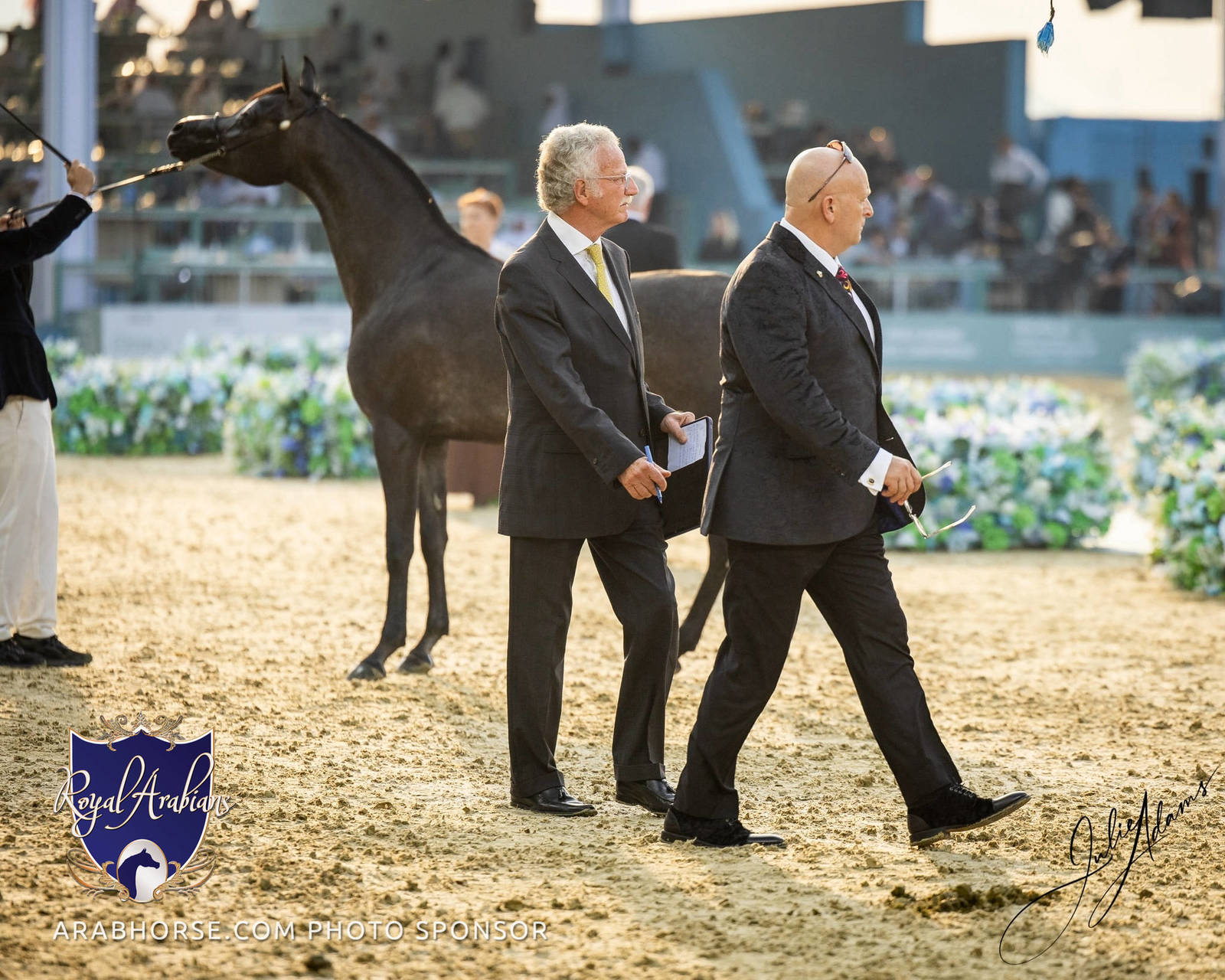 WORLD ARABIAN HORSE CHAMPIONSHIP FINAL DAY