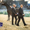 WORLD ARABIAN HORSE CHAMPIONSHIP FINAL DAY