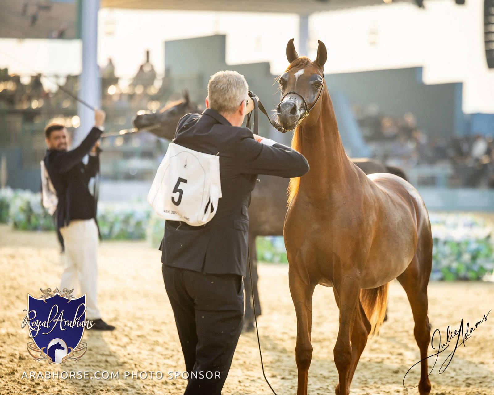 WORLD ARABIAN HORSE CHAMPIONSHIP FINAL DAY