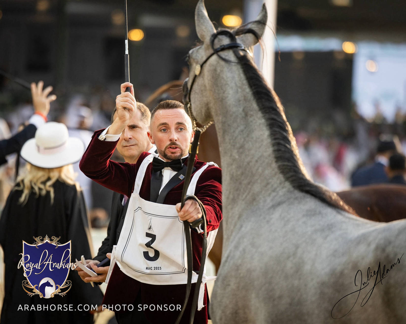 WORLD ARABIAN HORSE CHAMPIONSHIP FINAL DAY