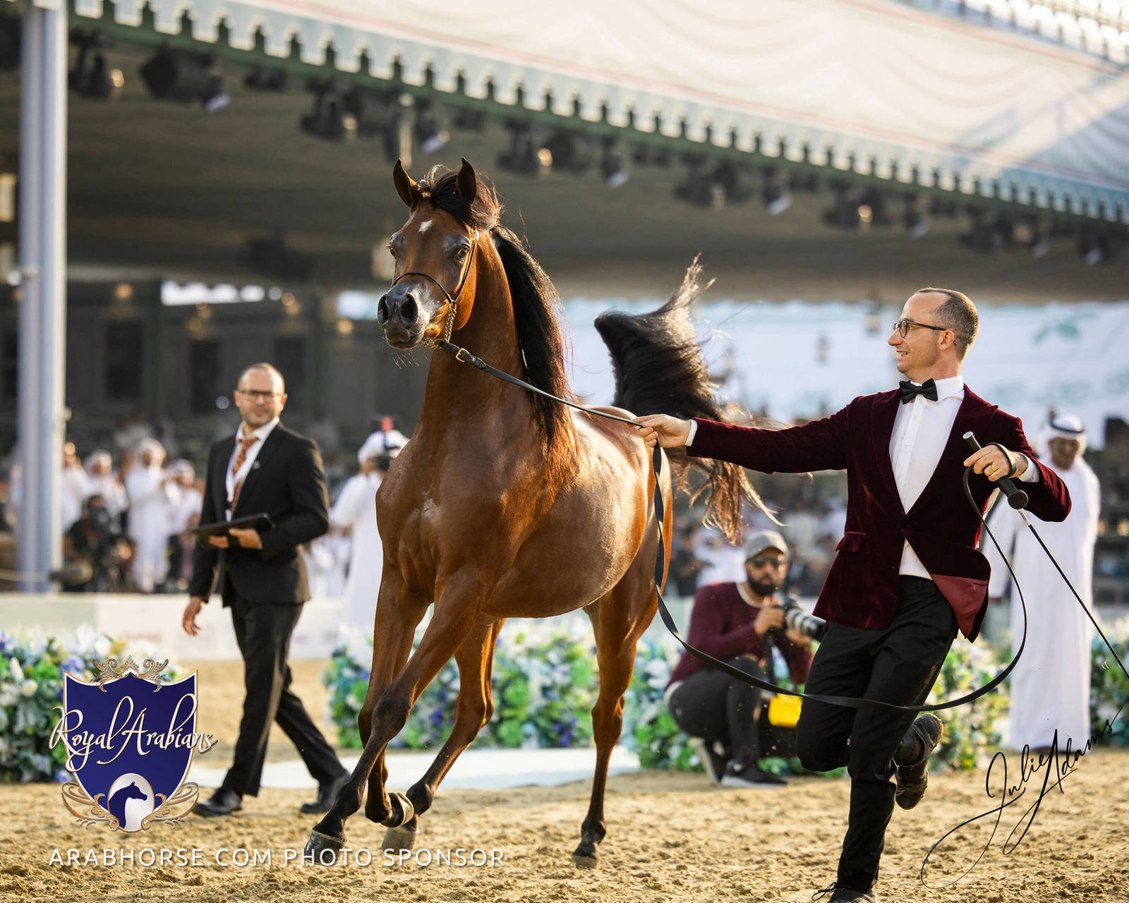 WORLD ARABIAN HORSE CHAMPIONSHIP FINAL DAY