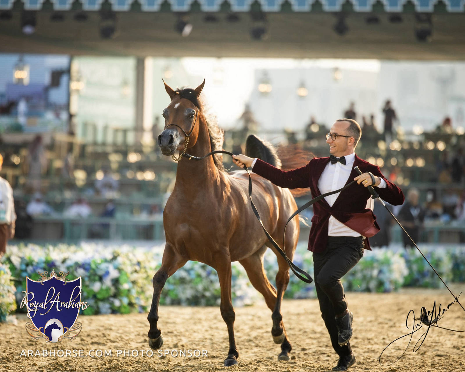 WORLD ARABIAN HORSE CHAMPIONSHIP FINAL DAY