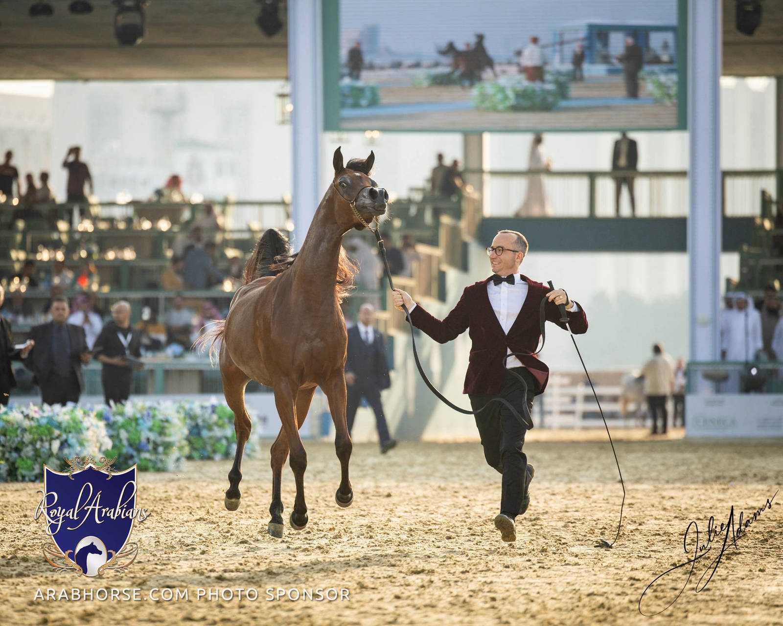 WORLD ARABIAN HORSE CHAMPIONSHIP FINAL DAY
