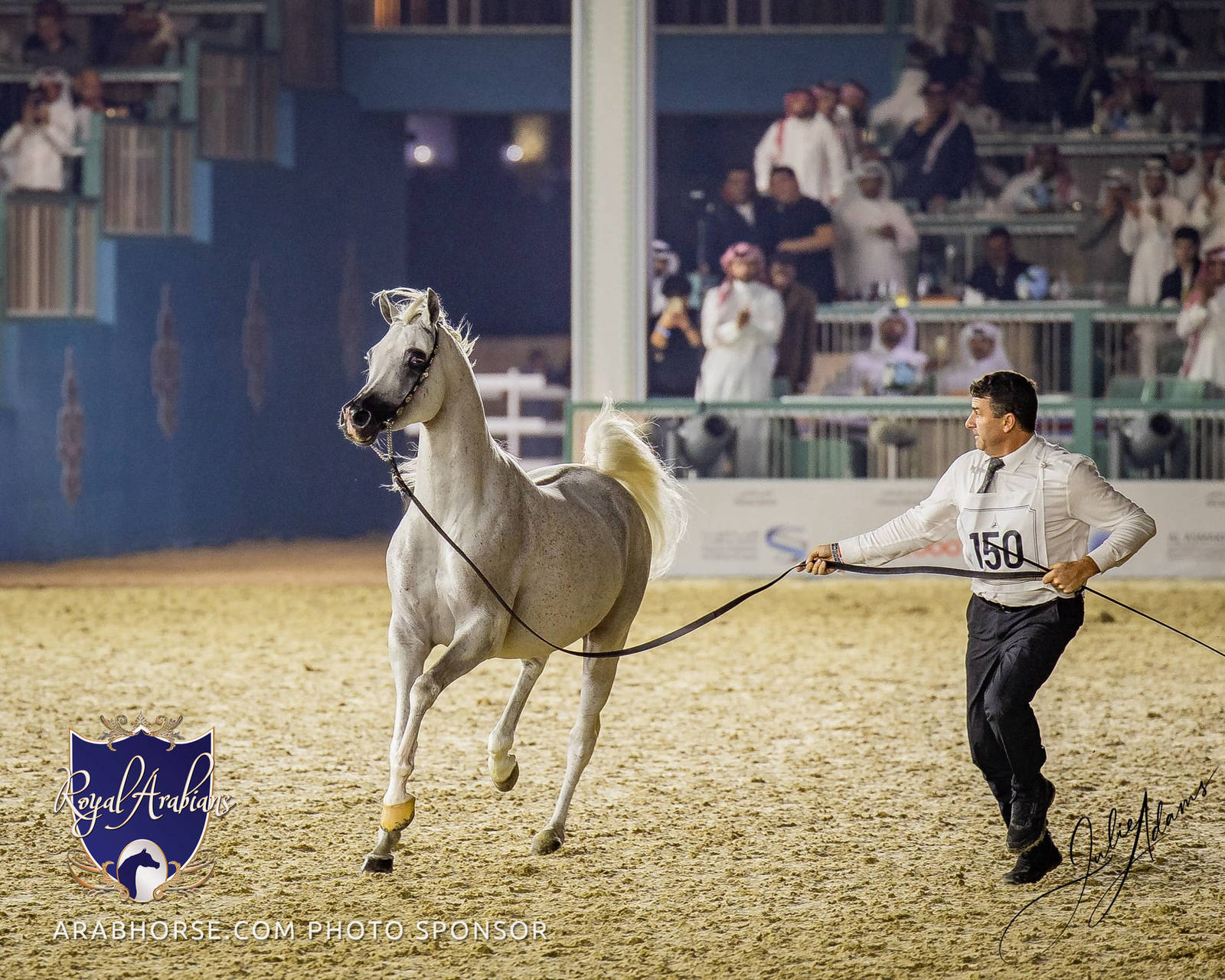 WORLD ARABIAN HORSE CHAMPIONSHIP FINAL DAY