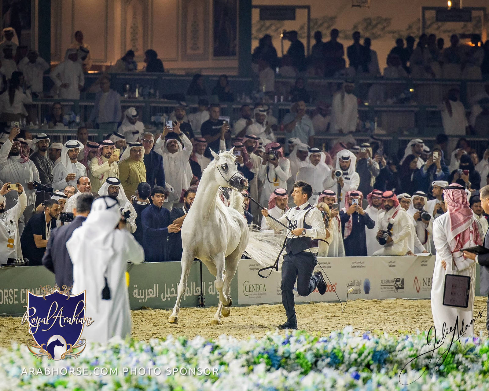 WORLD ARABIAN HORSE CHAMPIONSHIP FINAL DAY