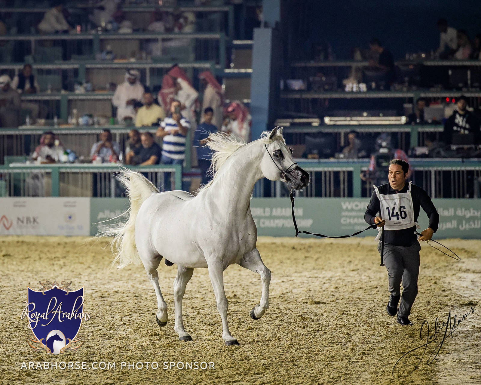 WORLD ARABIAN HORSE CHAMPIONSHIP FINAL DAY