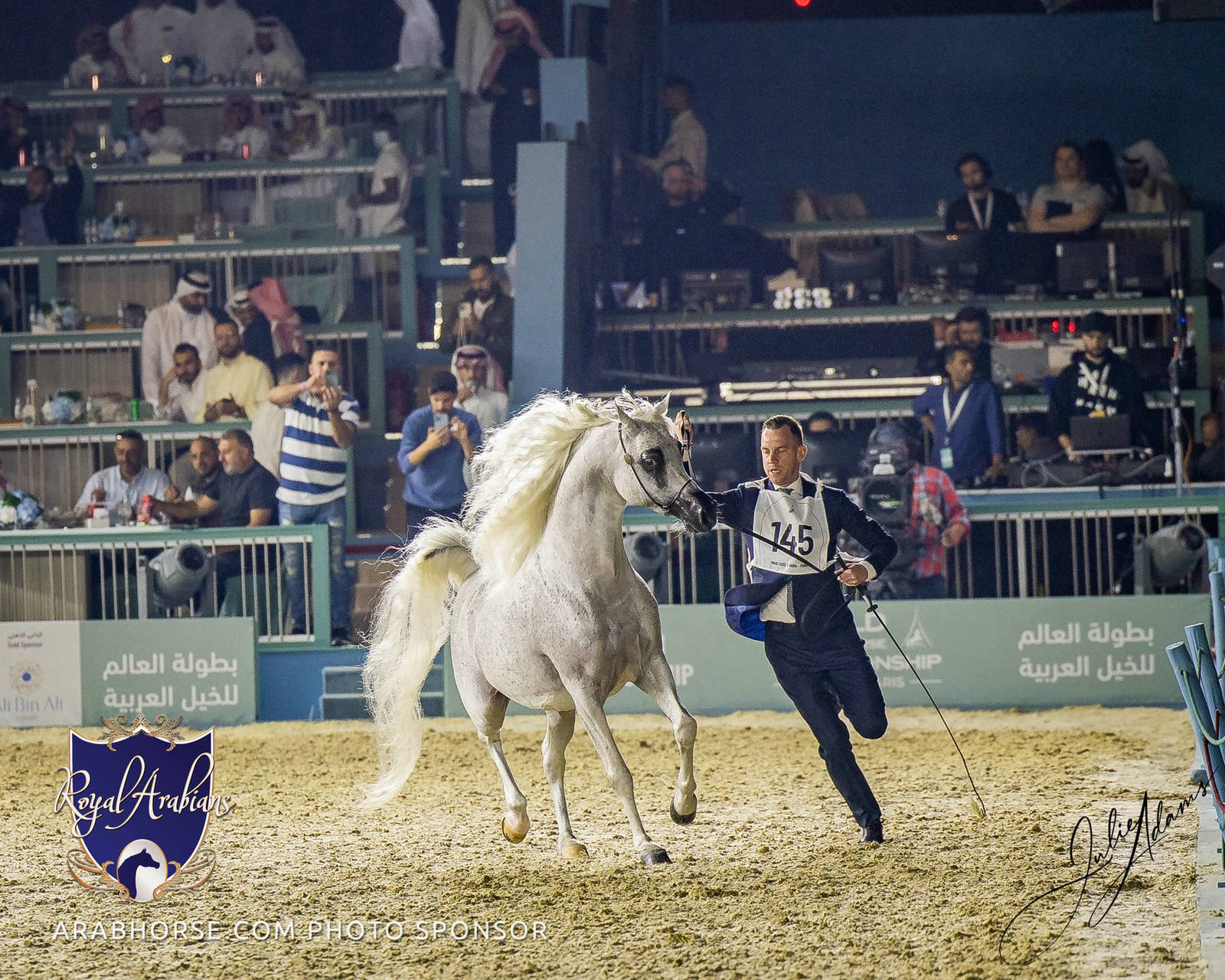 WORLD ARABIAN HORSE CHAMPIONSHIP FINAL DAY