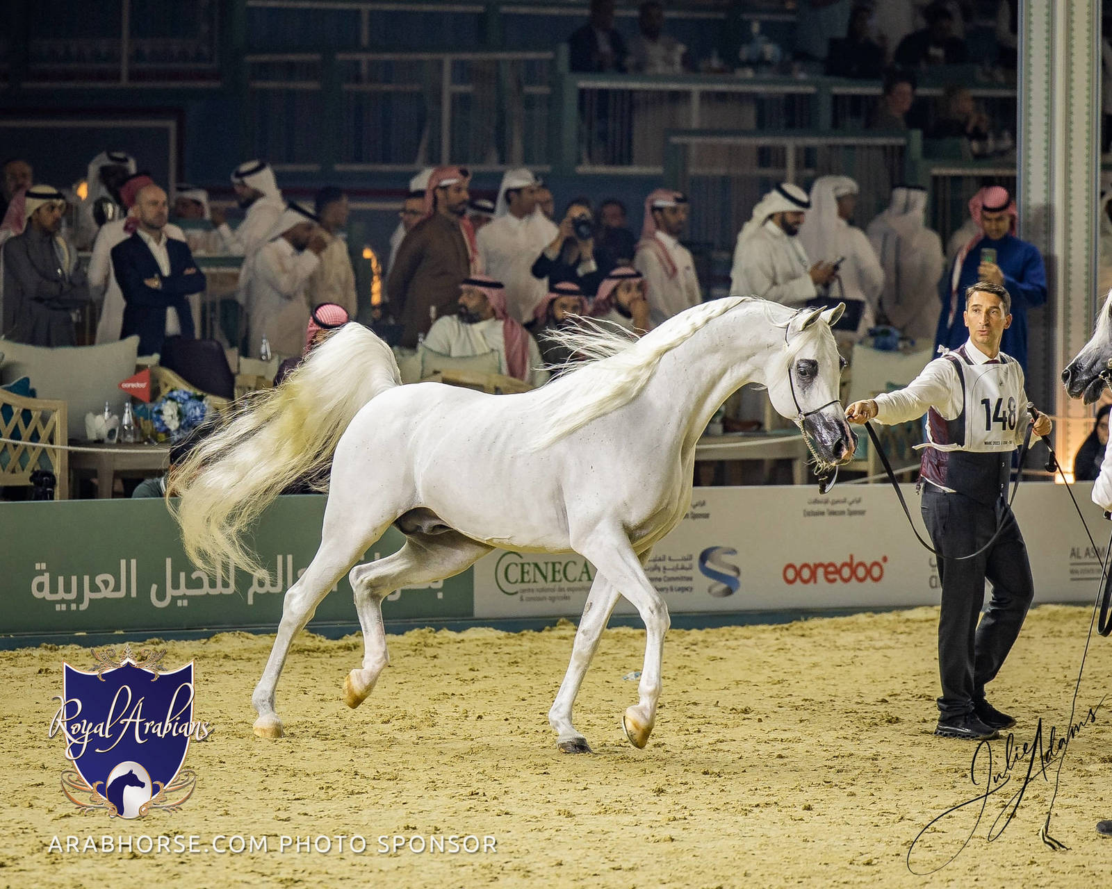 WORLD ARABIAN HORSE CHAMPIONSHIP FINAL DAY
