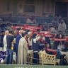 WORLD ARABIAN HORSE CHAMPIONSHIP FINAL DAY