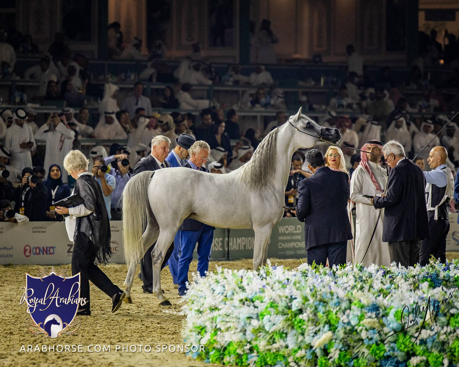 WORLD ARABIAN HORSE CHAMPIONSHIP FINAL DAY