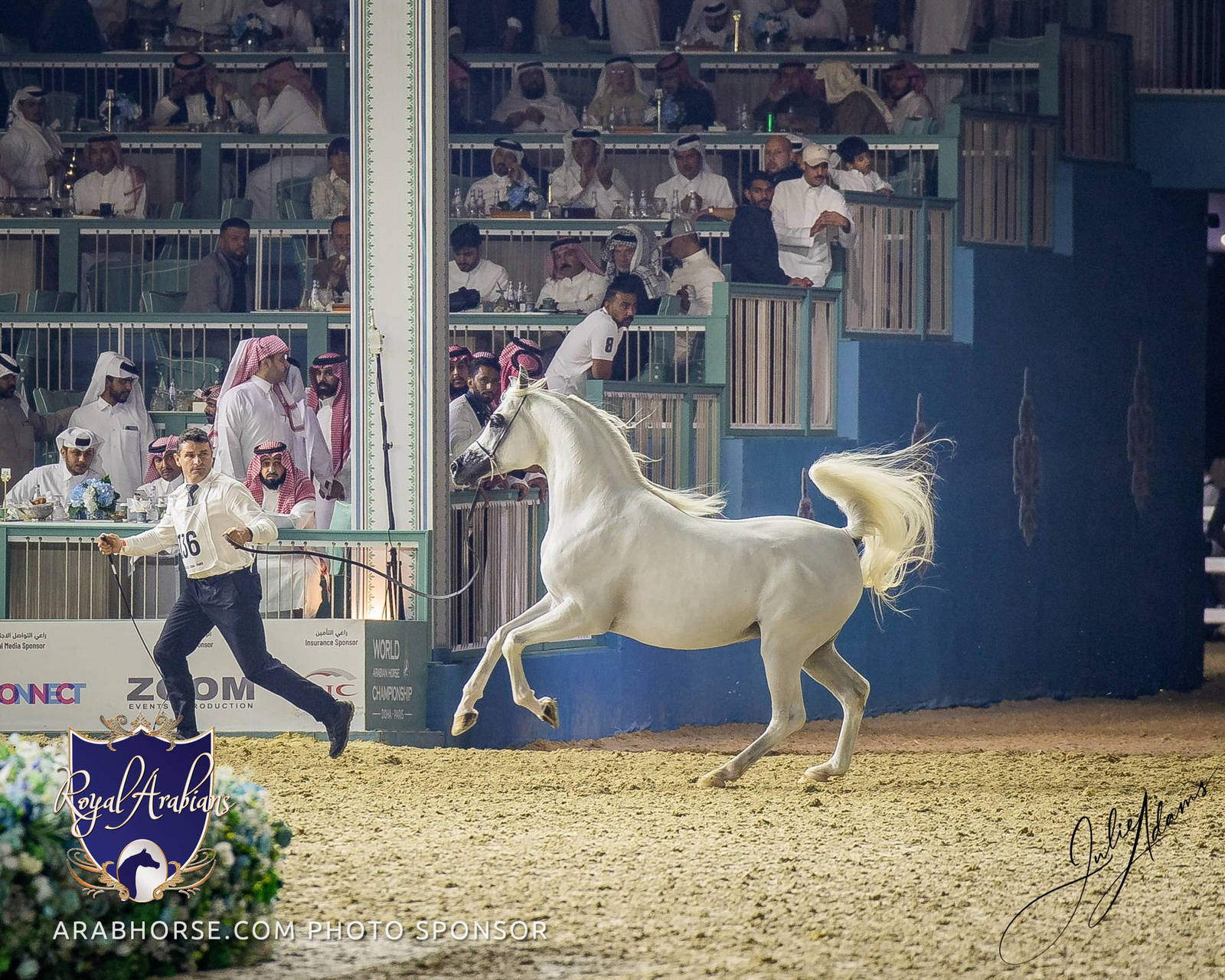 WORLD ARABIAN HORSE CHAMPIONSHIP FINAL DAY
