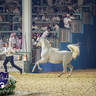 WORLD ARABIAN HORSE CHAMPIONSHIP FINAL DAY