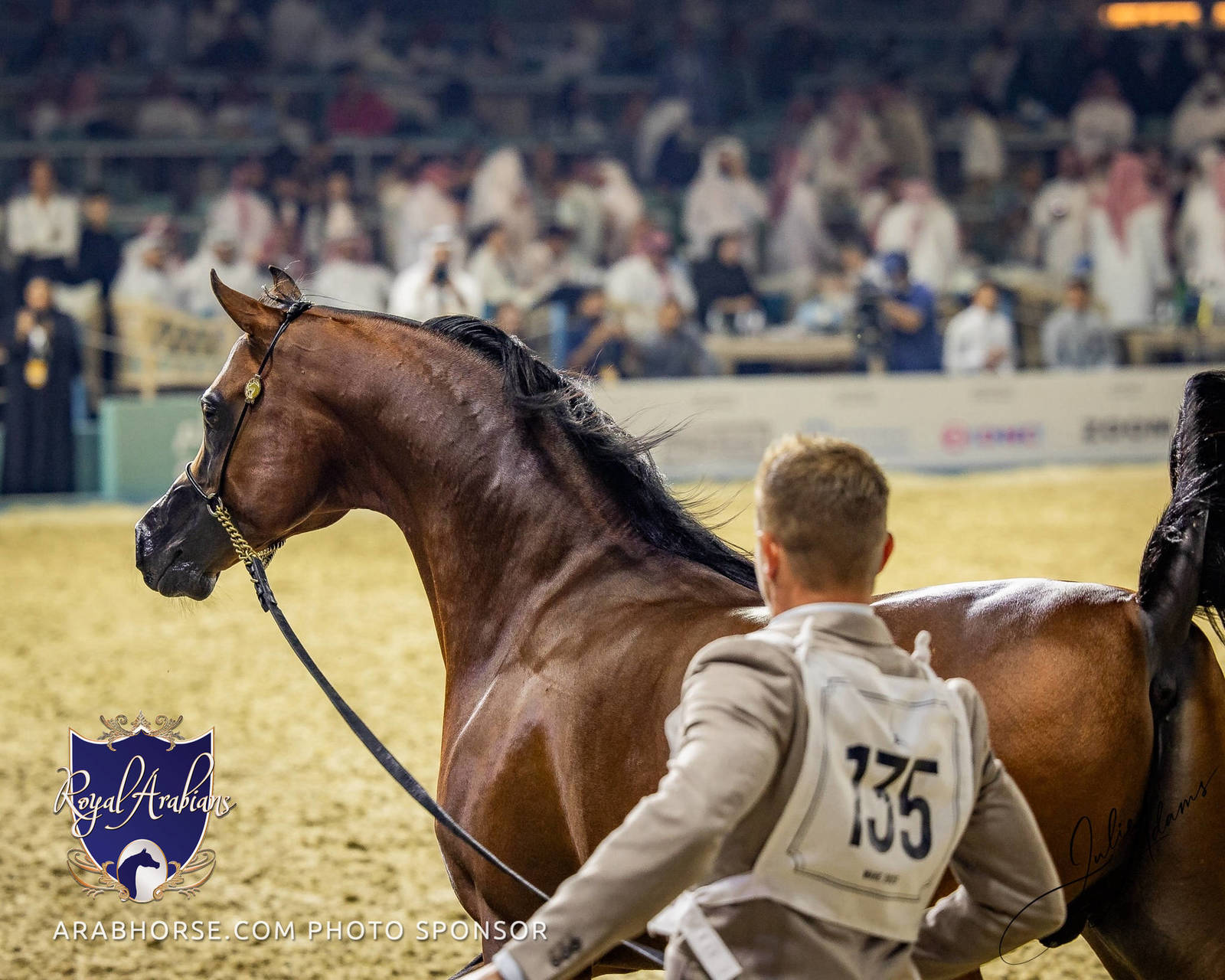 WORLD ARABIAN HORSE CHAMPIONSHIP FINAL DAY