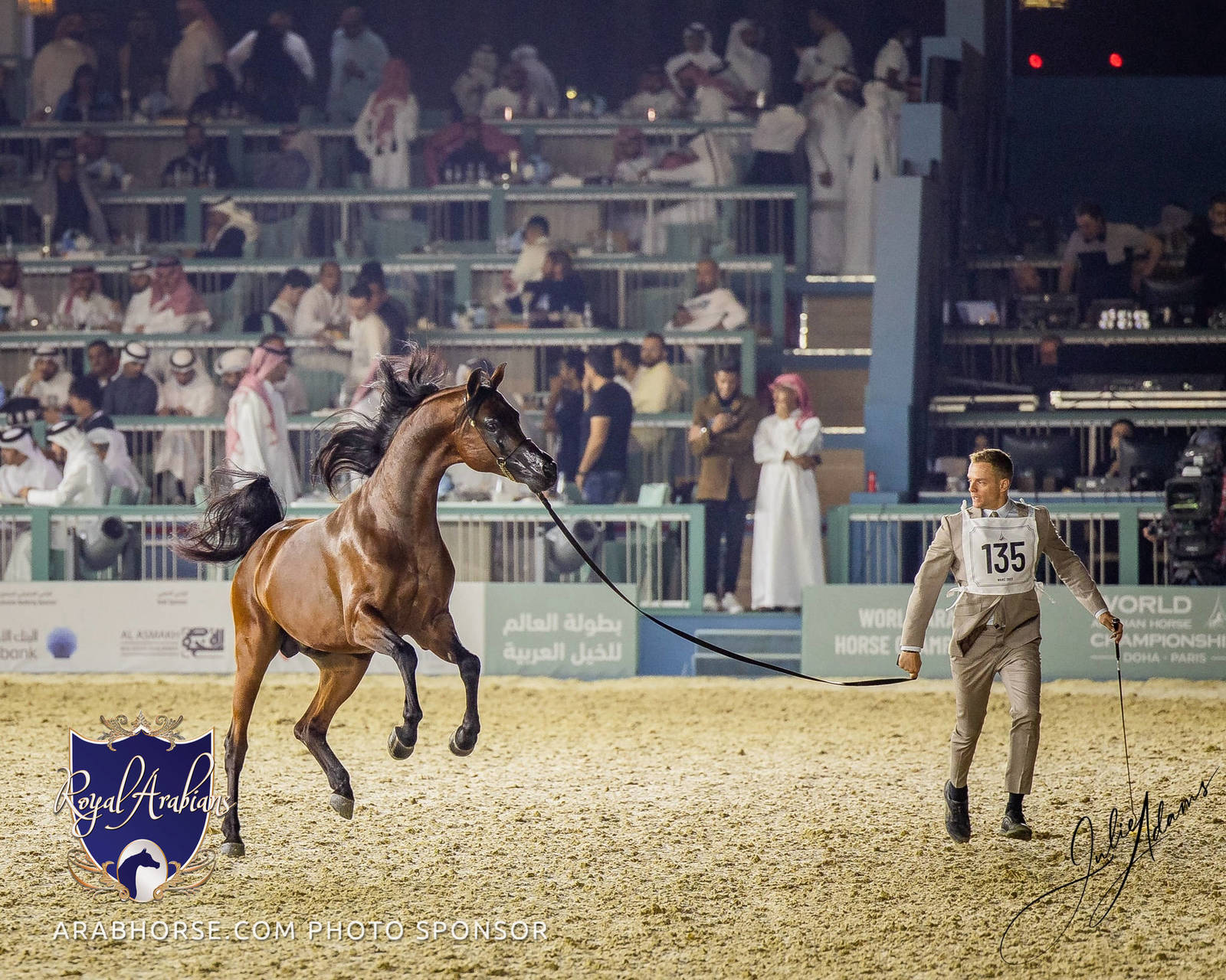WORLD ARABIAN HORSE CHAMPIONSHIP FINAL DAY