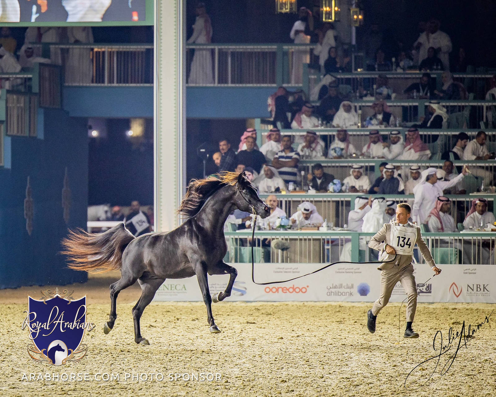 WORLD ARABIAN HORSE CHAMPIONSHIP FINAL DAY