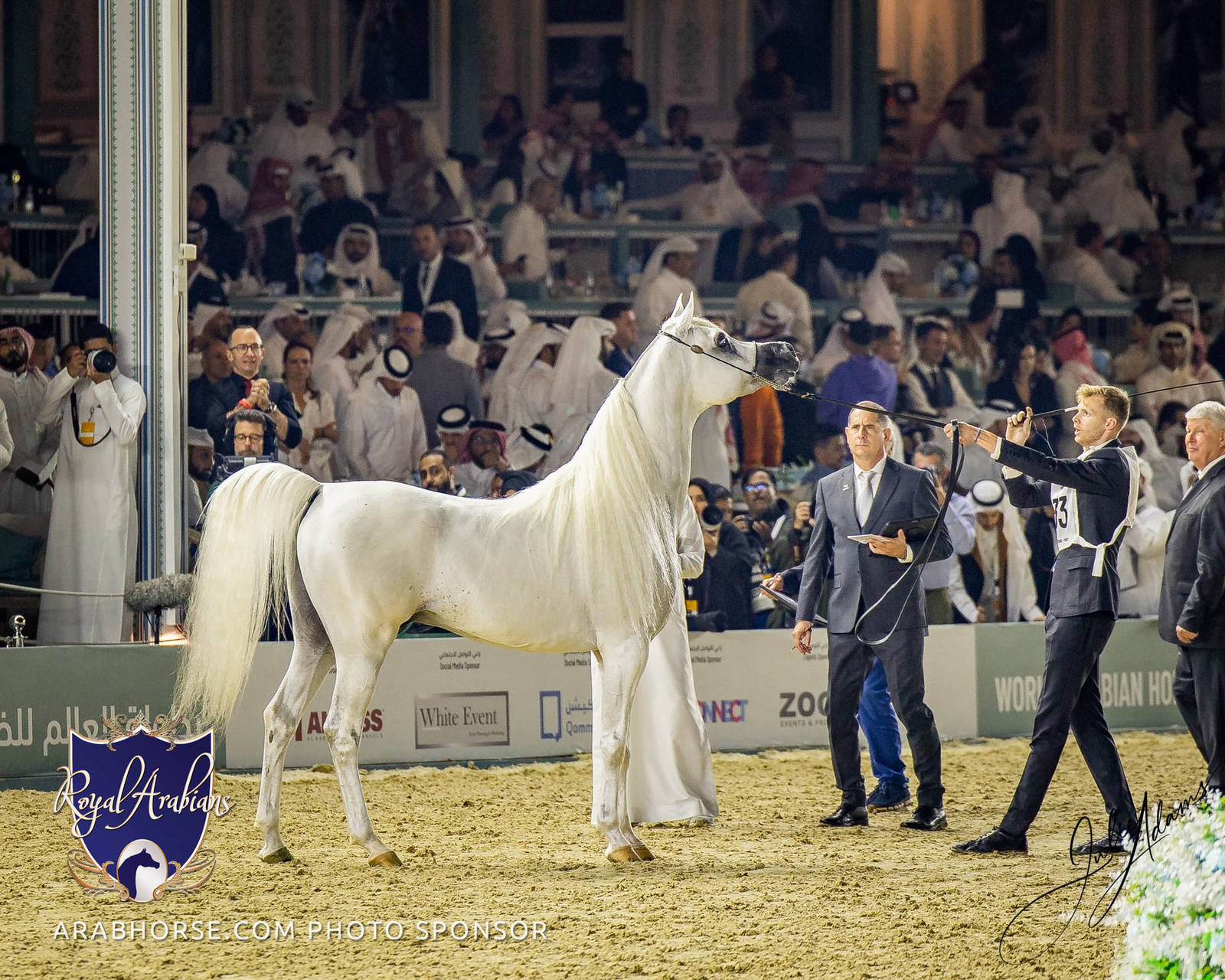 WORLD ARABIAN HORSE CHAMPIONSHIP FINAL DAY