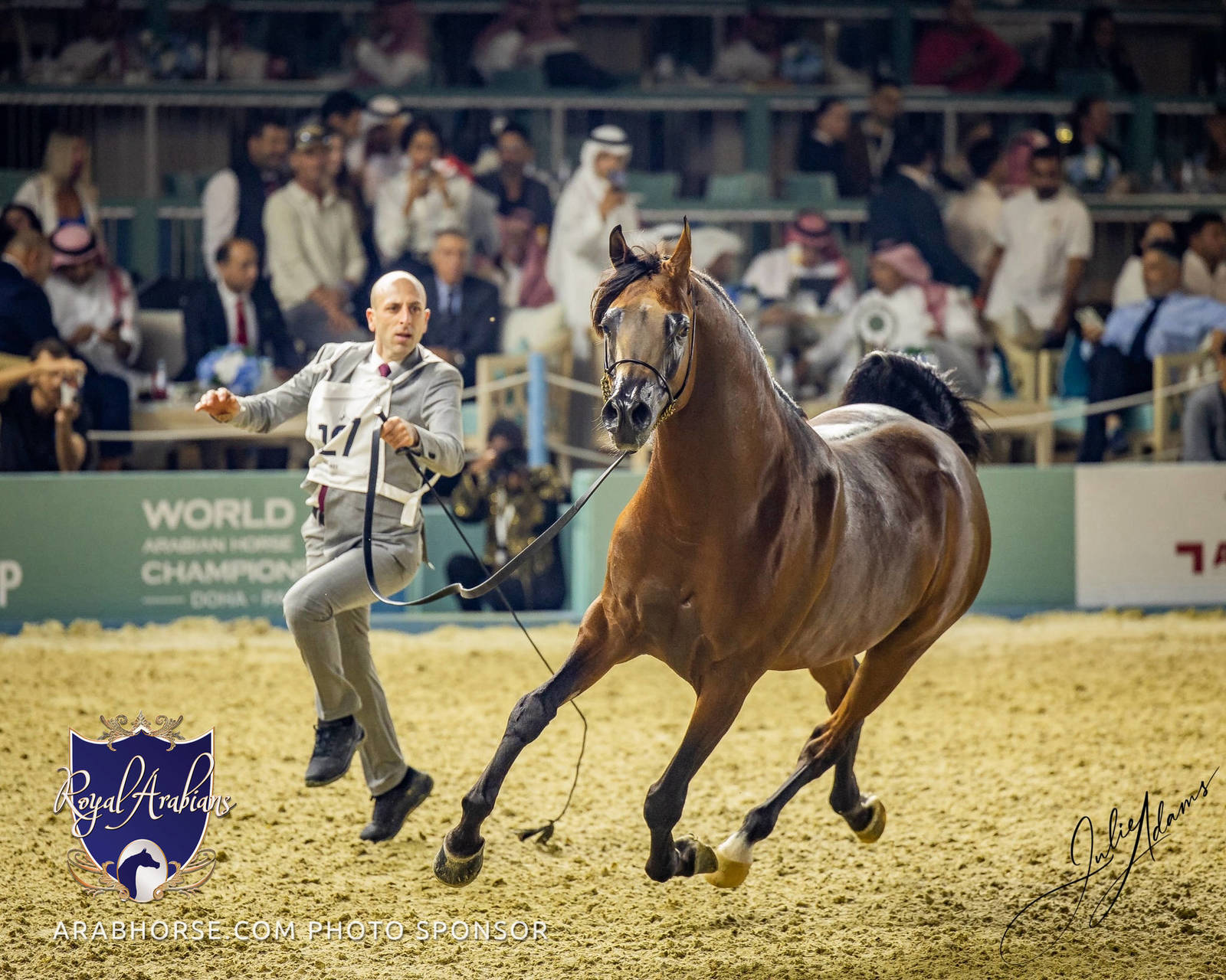 WORLD ARABIAN HORSE CHAMPIONSHIP FINAL DAY