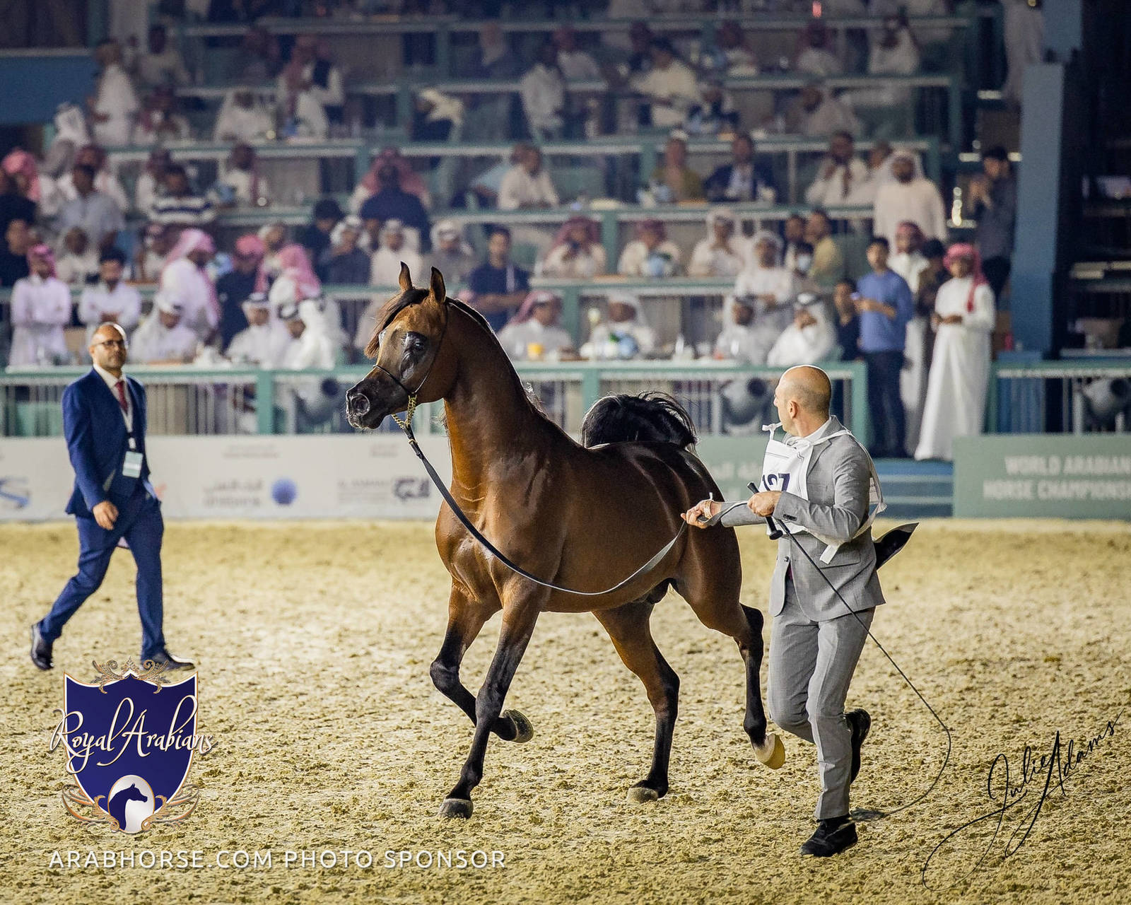 WORLD ARABIAN HORSE CHAMPIONSHIP FINAL DAY