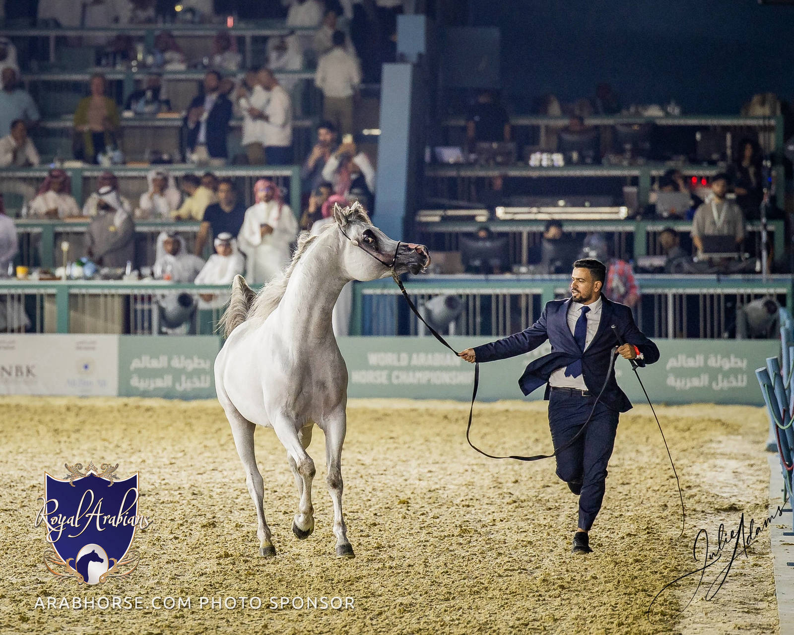 WORLD ARABIAN HORSE CHAMPIONSHIP FINAL DAY