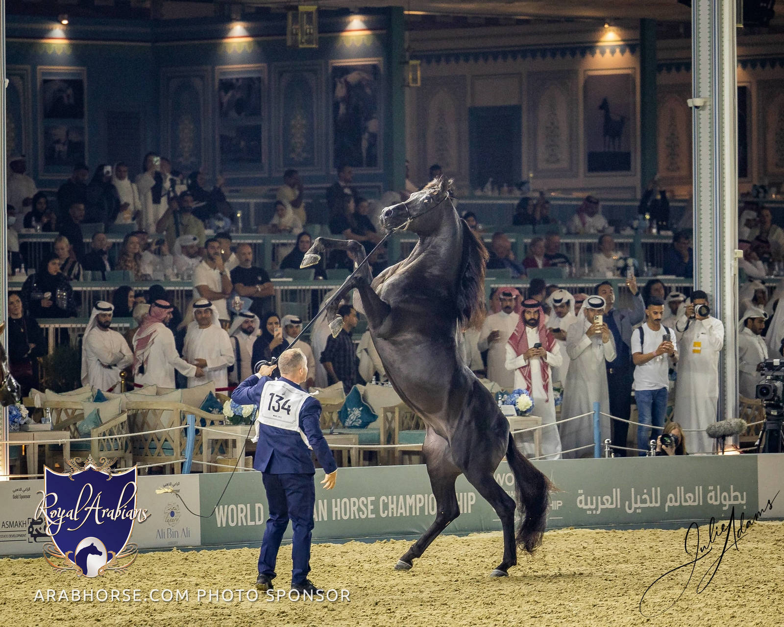WORLD ARABIAN HORSE CHAMPIONSHIP FINAL DAY