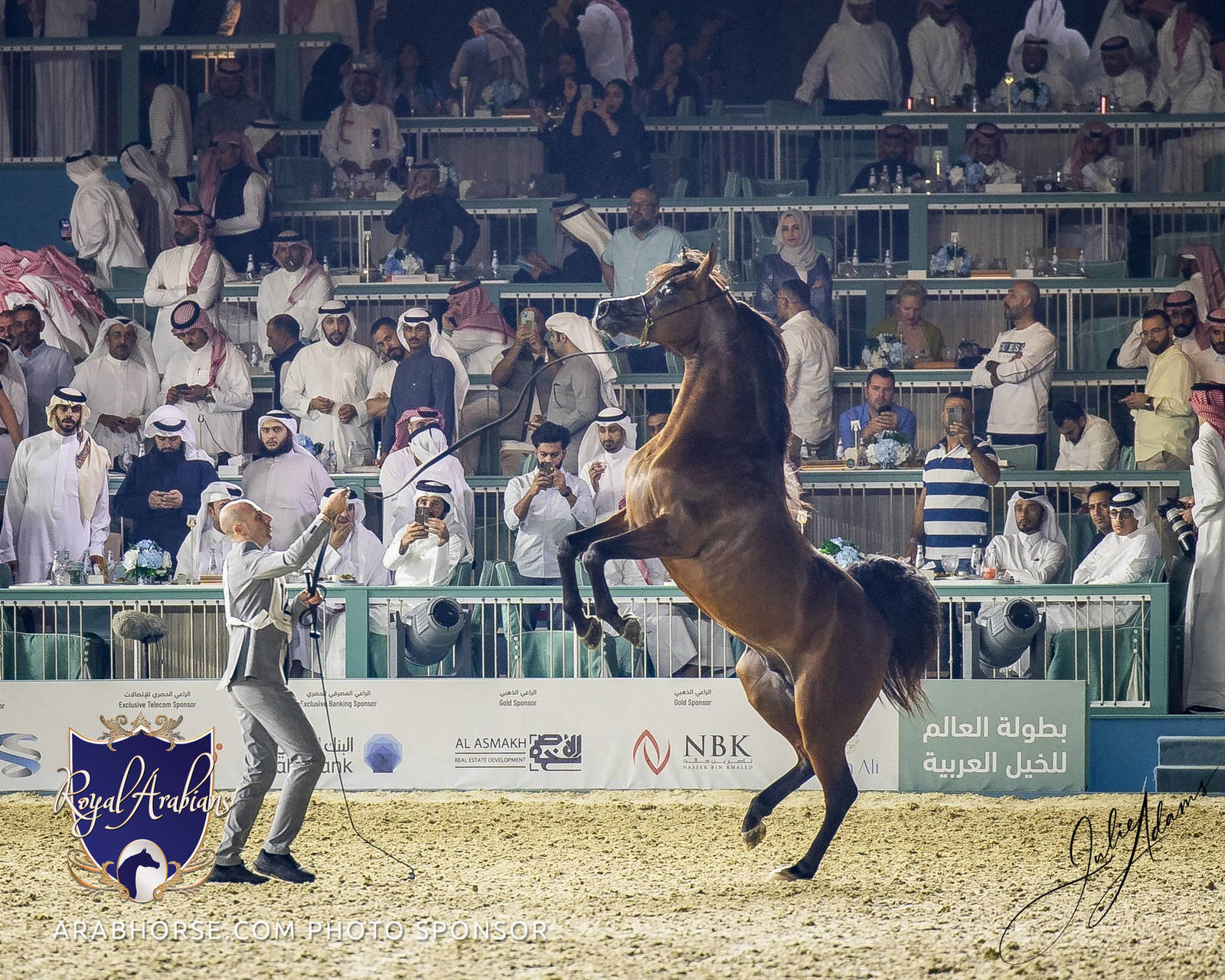 WORLD ARABIAN HORSE CHAMPIONSHIP FINAL DAY