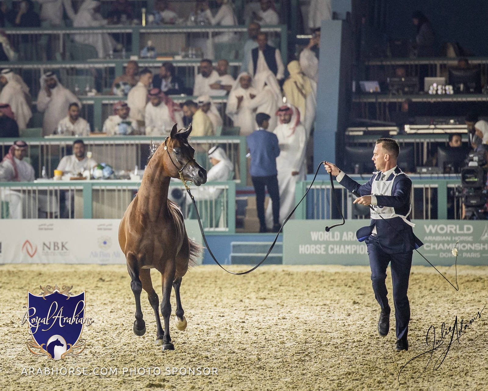 WORLD ARABIAN HORSE CHAMPIONSHIP FINAL DAY