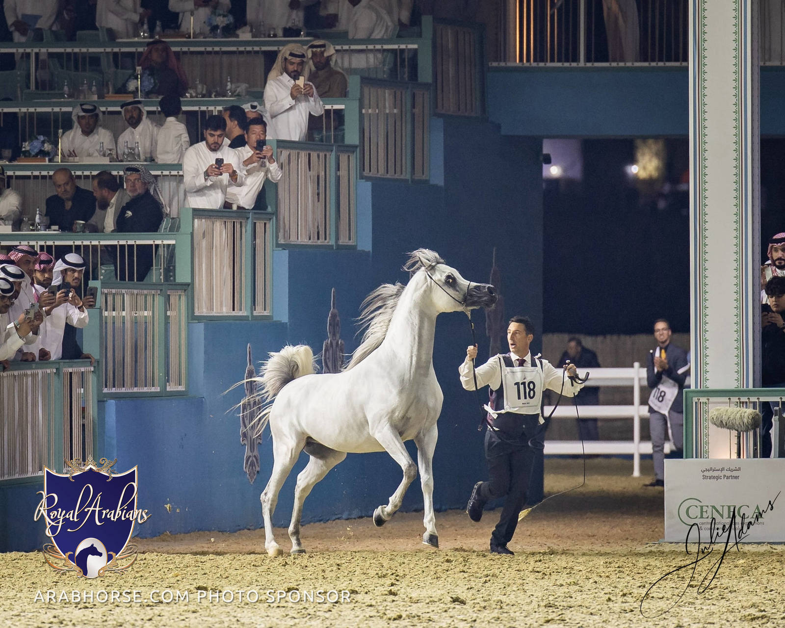 WORLD ARABIAN HORSE CHAMPIONSHIP FINAL DAY